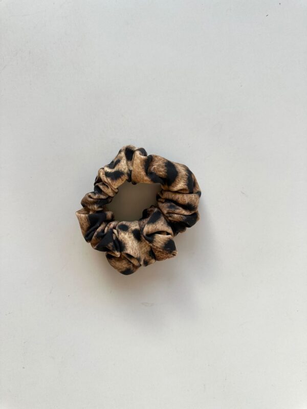 סקראנצ'י | מנומר