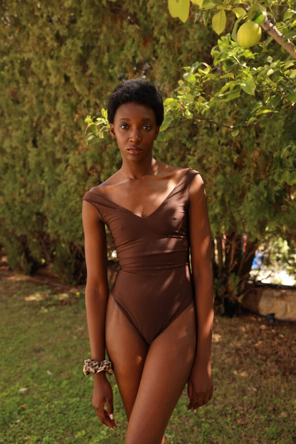 Alternative view of TAMU | Brown