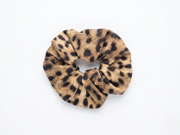 סקראנצ'י | מנומר